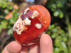 Polished Carnelian Agate Gemstone Palm Stones x 13 From Madagascar - Toprock Gemstones and Minerals 