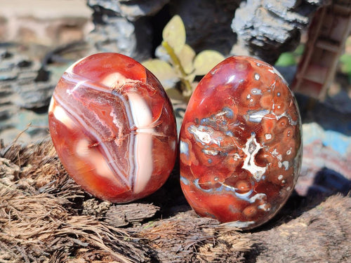 Polished Carnelian Agate Gemstone Palm Stones x 13 From Madagascar - Toprock Gemstones and Minerals 
