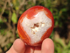 Polished Carnelian Agate Gemstone Palm Stones x 13 From Madagascar - Toprock Gemstones and Minerals 