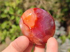 Polished Carnelian Agate Gemstone Palm Stones x 13 From Madagascar - Toprock Gemstones and Minerals 
