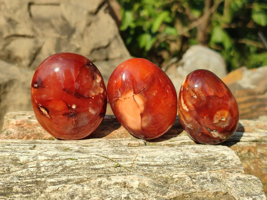 Polished Carnelian Agate Gemstone Palm Stones x 13 From Madagascar - Toprock Gemstones and Minerals 