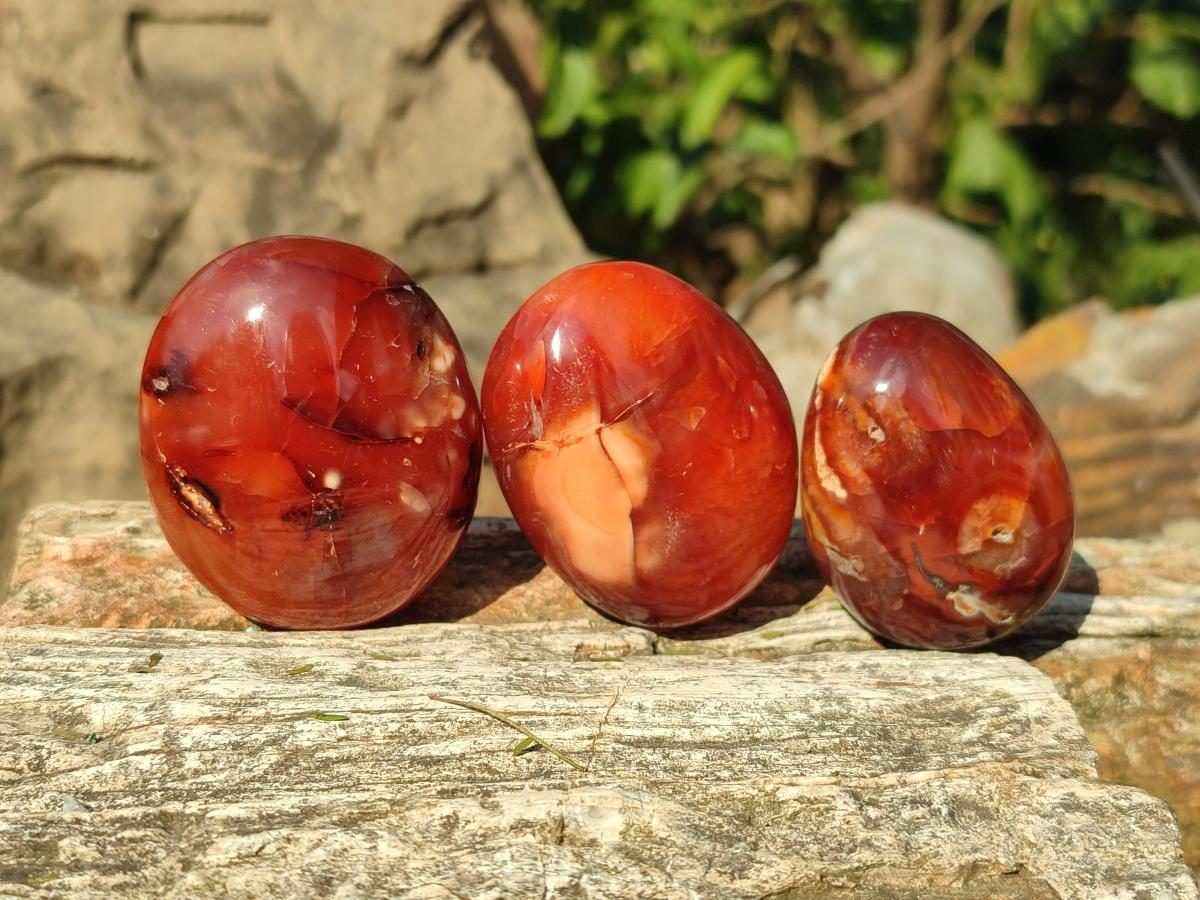 Polished Carnelian Agate Gemstone Palm Stones x 13 From Madagascar - Toprock Gemstones and Minerals 
