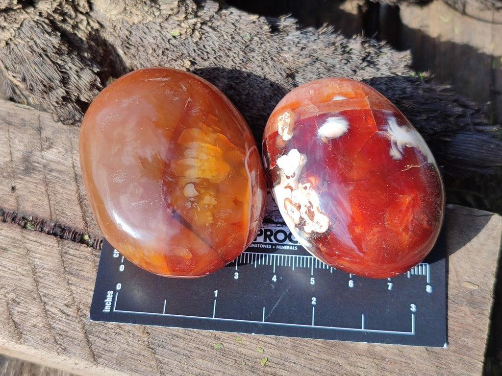 Polished Carnelian Agate Gemstone Palm Stones x 13 From Madagascar - Toprock Gemstones and Minerals 