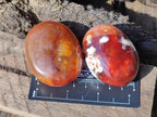 Polished Carnelian Agate Gemstone Palm Stones x 13 From Madagascar - Toprock Gemstones and Minerals 