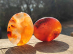Polished Carnelian Agate Gemstone Palm Stones x 13 From Madagascar - Toprock Gemstones and Minerals 