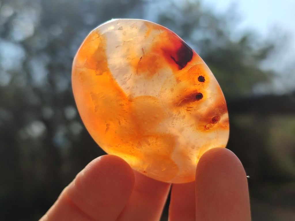 Polished Carnelian Agate Gemstone Palm Stones x 13 From Madagascar - Toprock Gemstones and Minerals 