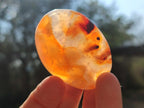Polished Carnelian Agate Gemstone Palm Stones x 13 From Madagascar - Toprock Gemstones and Minerals 