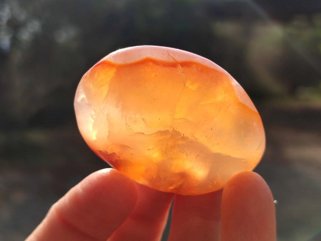 Polished Carnelian Agate Gemstone Palm Stones x 13 From Madagascar - Toprock Gemstones and Minerals 