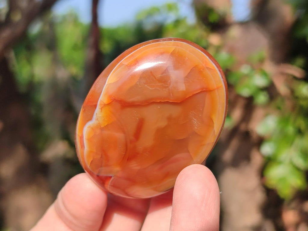 Polished Carnelian Agate Gemstone Palm Stones x 13 From Madagascar - Toprock Gemstones and Minerals 