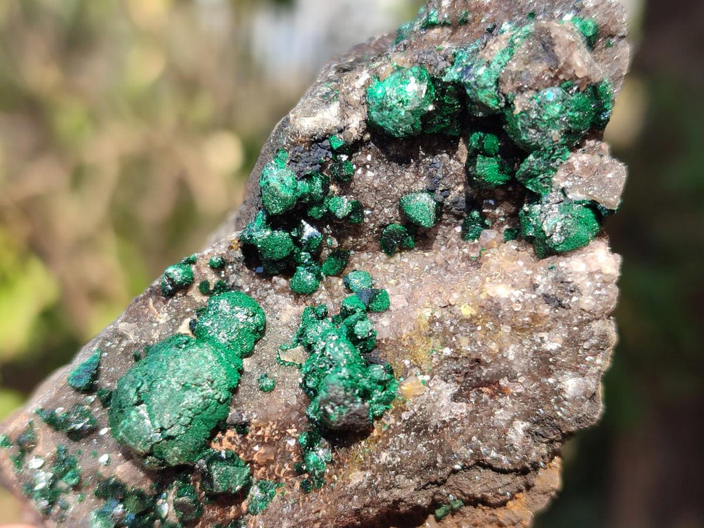 Natural Ball Malachite Specimens Coated with Drusy Quartz on Dolomite x 6 From Mindingi Mine, Kambove, Congo - Toprock Gemstones and Minerals 