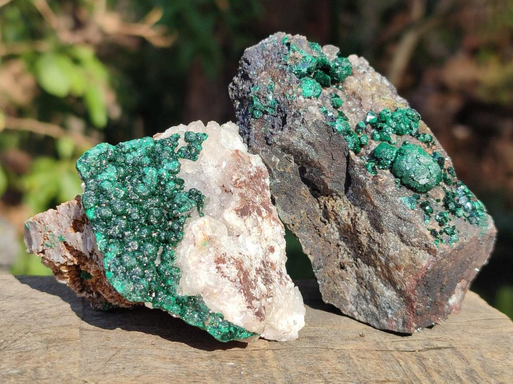 Natural Ball Malachite Specimens Coated with Drusy Quartz on Dolomite x 6 From Mindingi Mine, Kambove, Congo - Toprock Gemstones and Minerals 