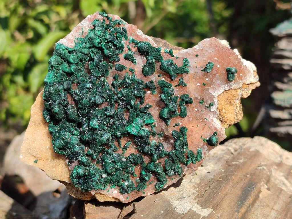 Natural Ball Malachite Specimens Coated with Drusy Quartz on Dolomite x 6 From Mindingi Mine, Kambove, Congo - Toprock Gemstones and Minerals 