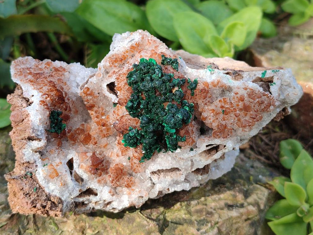 Natural Ball Malachite Specimens Coated with Drusy Quartz on Dolomite x 6 From Mindingi Mine, Kambove, Congo - Toprock Gemstones and Minerals 