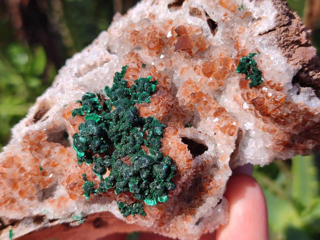 Natural Ball Malachite Specimens Coated with Drusy Quartz on Dolomite x 6 From Mindingi Mine, Kambove, Congo - Toprock Gemstones and Minerals 