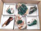 Natural Ball Malachite Specimens Coated with Drusy Quartz on Dolomite x 6 From Mindingi Mine, Kambove, Congo - Toprock Gemstones and Minerals 