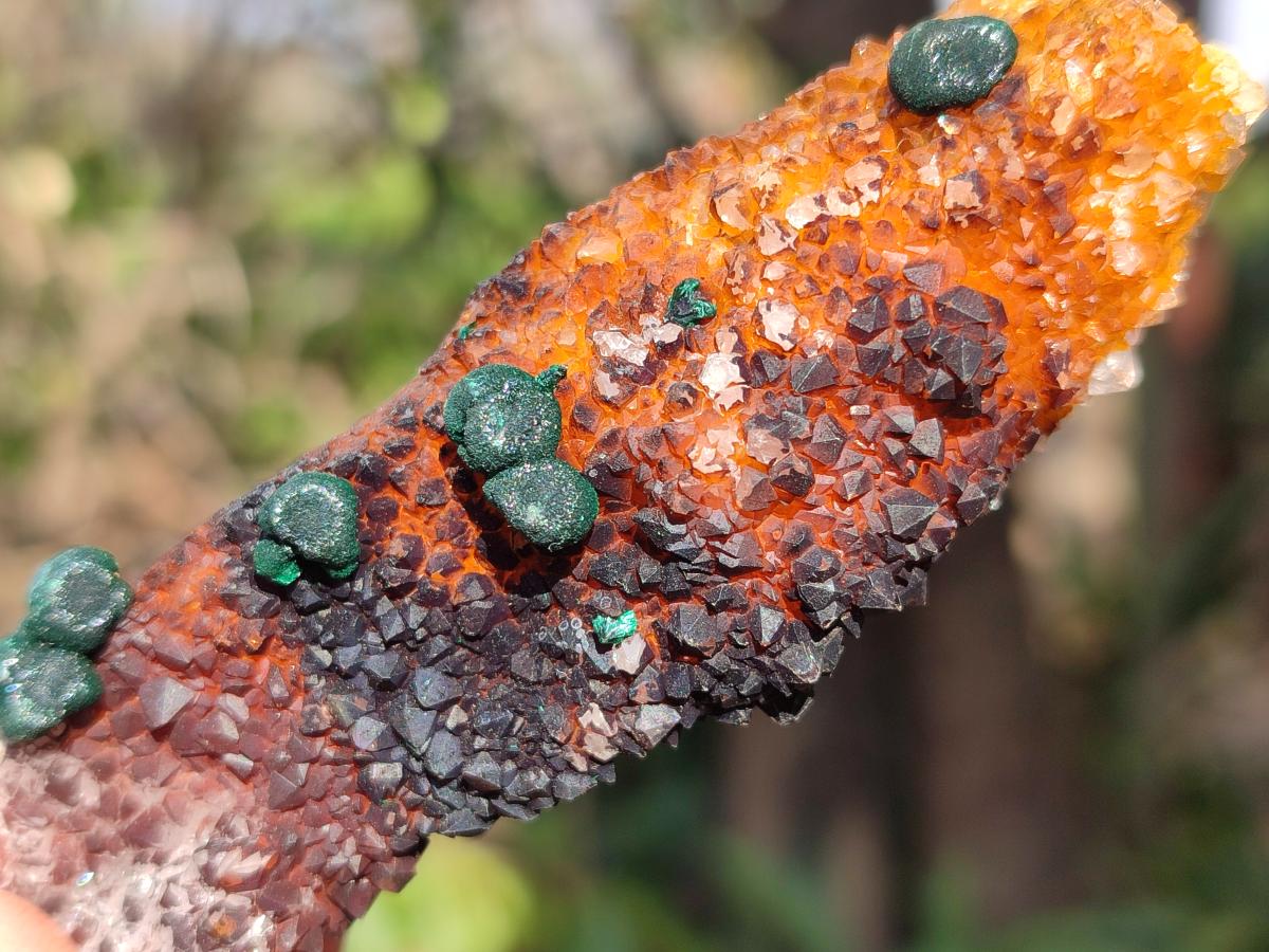 Natural Ball Malachite Specimens Coated with Drusy Quartz on Dolomite x 6 From Mindingi Mine, Kambove, Congo - Toprock Gemstones and Minerals 