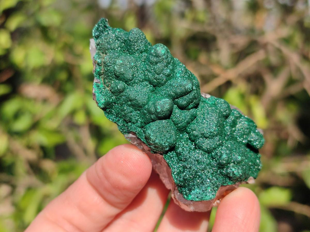 Natural Ball Malachite Specimens Coated with Drusy Quartz on Dolomite x 6 From Mindingi Mine, Kambove, Congo - Toprock Gemstones and Minerals 