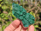Natural Ball Malachite Specimens Coated with Drusy Quartz on Dolomite x 6 From Mindingi Mine, Kambove, Congo - Toprock Gemstones and Minerals 