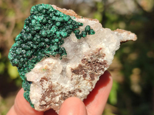 Natural Ball Malachite Specimens Coated with Drusy Quartz on Dolomite x 6 From Mindingi Mine, Kambove, Congo - Toprock Gemstones and Minerals 