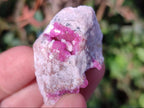 Natural Spherocobaltite Specimens x 24 From Musonoi Mine, Congo - Toprock Gemstones and Minerals 