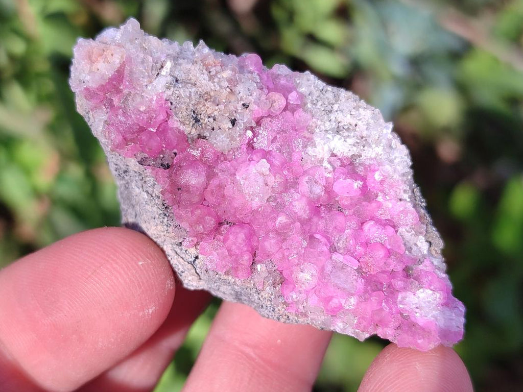 Natural Spherocobaltite Specimens x 24 From Musonoi Mine, Congo - Toprock Gemstones and Minerals 