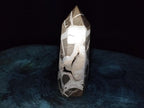 Polished Large Septerye Sauvage "Tower" x 1 From Mahajanga, Madagascar - Toprock Gemstones and Minerals 