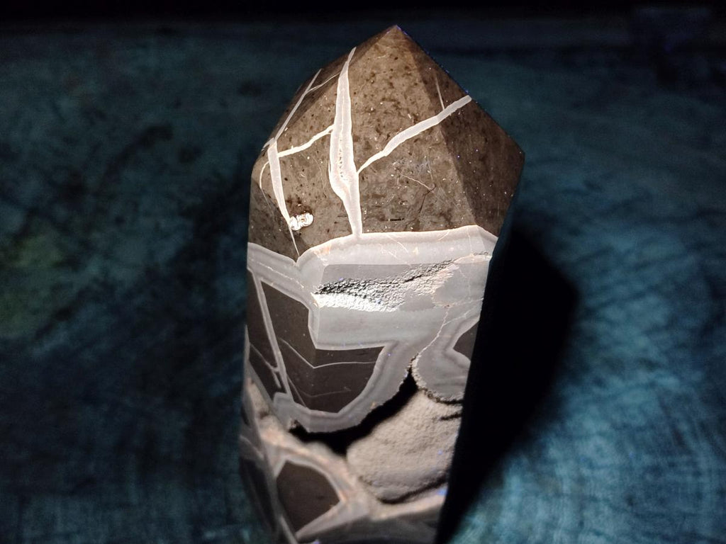 Polished Large Septerye Sauvage "Tower" x 1 From Mahajanga, Madagascar - Toprock Gemstones and Minerals 