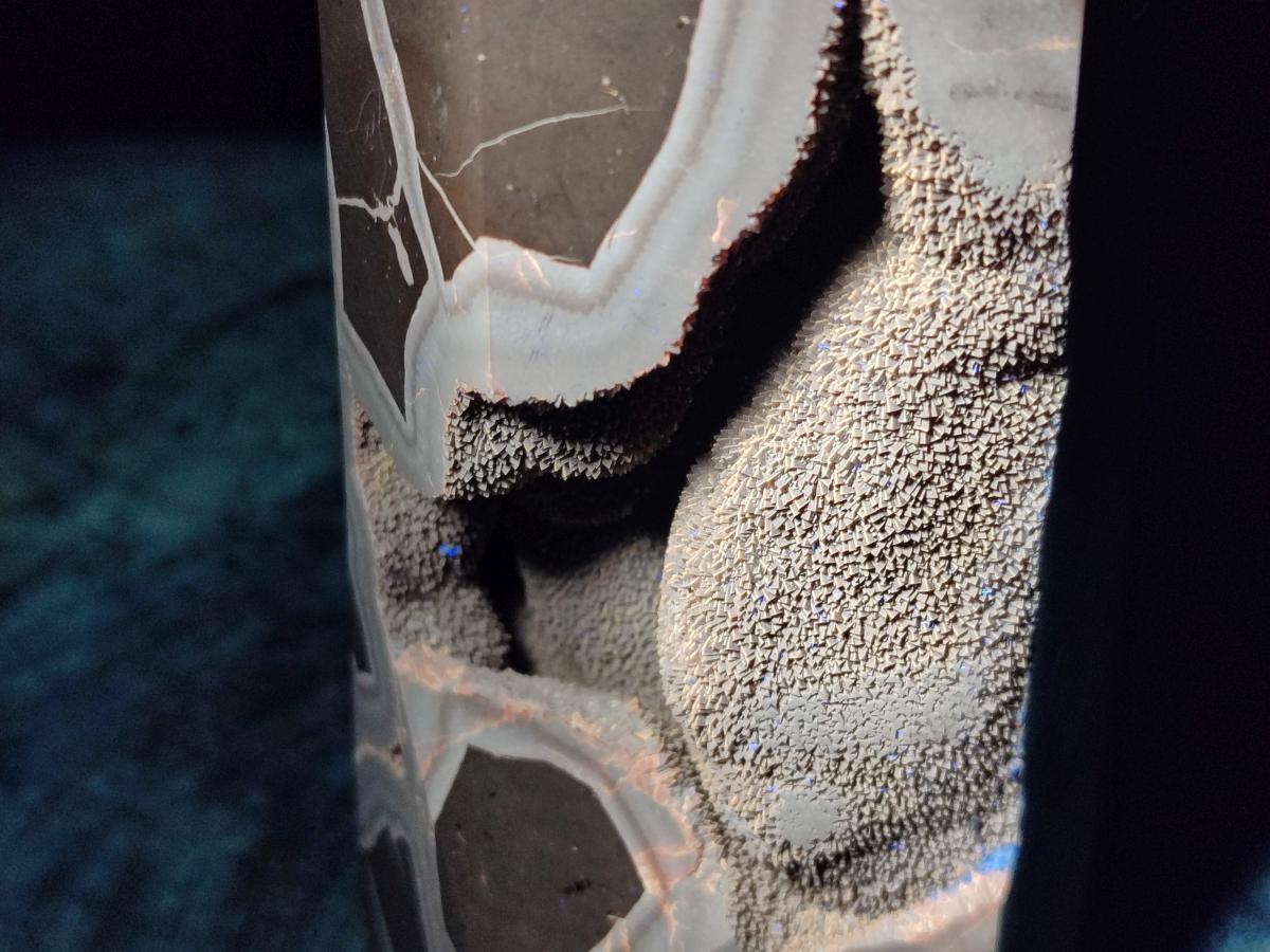 Polished Large Septerye Sauvage "Tower" x 1 From Mahajanga, Madagascar - Toprock Gemstones and Minerals 