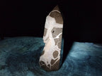 Polished Large Septerye Sauvage "Tower" x 1 From Mahajanga, Madagascar - Toprock Gemstones and Minerals 