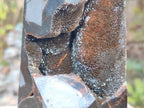 Polished Large Septerye Sauvage "Tower" x 1 From Mahajanga, Madagascar - Toprock Gemstones and Minerals 