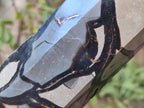 Polished Large Septerye Sauvage "Tower" x 1 From Mahajanga, Madagascar - Toprock Gemstones and Minerals 