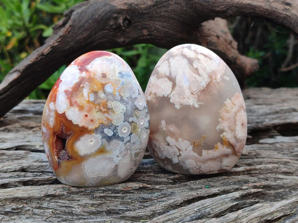 Polished Flower Agate Standing Display Pieces x 6 From Antsahalova, Madagascar - Toprock Gemstones and Minerals 