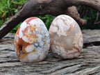 Polished Flower Agate Standing Display Pieces x 6 From Antsahalova, Madagascar - Toprock Gemstones and Minerals 
