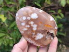 Polished Flower Agate Standing Display Pieces x 6 From Antsahalova, Madagascar - Toprock Gemstones and Minerals 