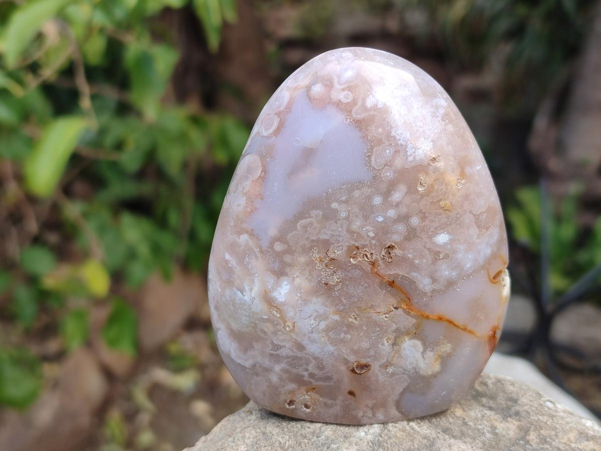 Polished Flower Agate Standing Display Pieces x 6 From Antsahalova, Madagascar - Toprock Gemstones and Minerals 