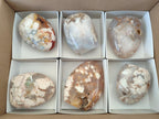 Polished Flower Agate Standing Display Pieces x 6 From Antsahalova, Madagascar - Toprock Gemstones and Minerals 