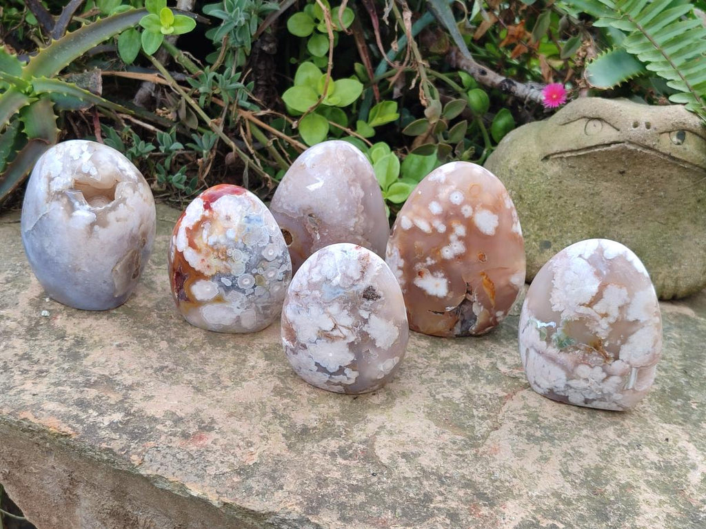 Polished Flower Agate Standing Display Pieces x 6 From Antsahalova, Madagascar - Toprock Gemstones and Minerals 