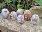 Polished Flower Agate Standing Display Pieces x 6 From Antsahalova, Madagascar - Toprock Gemstones and Minerals 