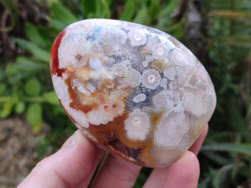 Polished Flower Agate Standing Display Pieces x 6 From Antsahalova, Madagascar - Toprock Gemstones and Minerals 