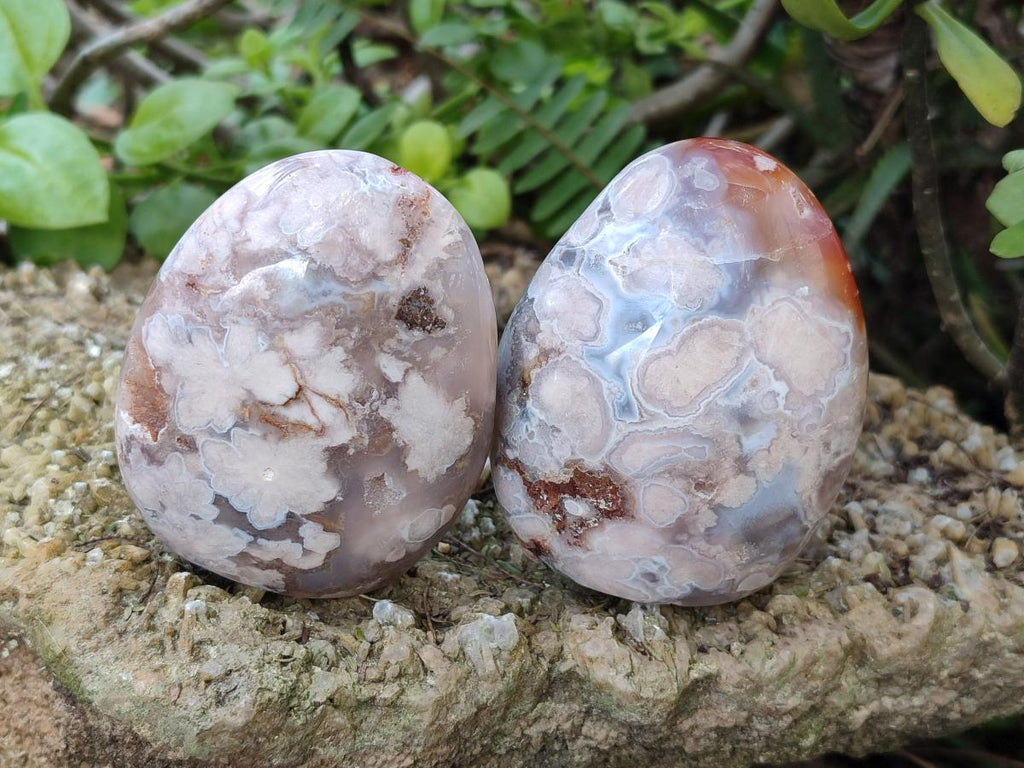 Polished Flower Agate Standing Display Pieces x 6 From Antsahalova, Madagascar - Toprock Gemstones and Minerals 