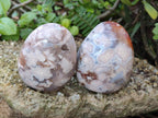 Polished Flower Agate Standing Display Pieces x 6 From Antsahalova, Madagascar - Toprock Gemstones and Minerals 