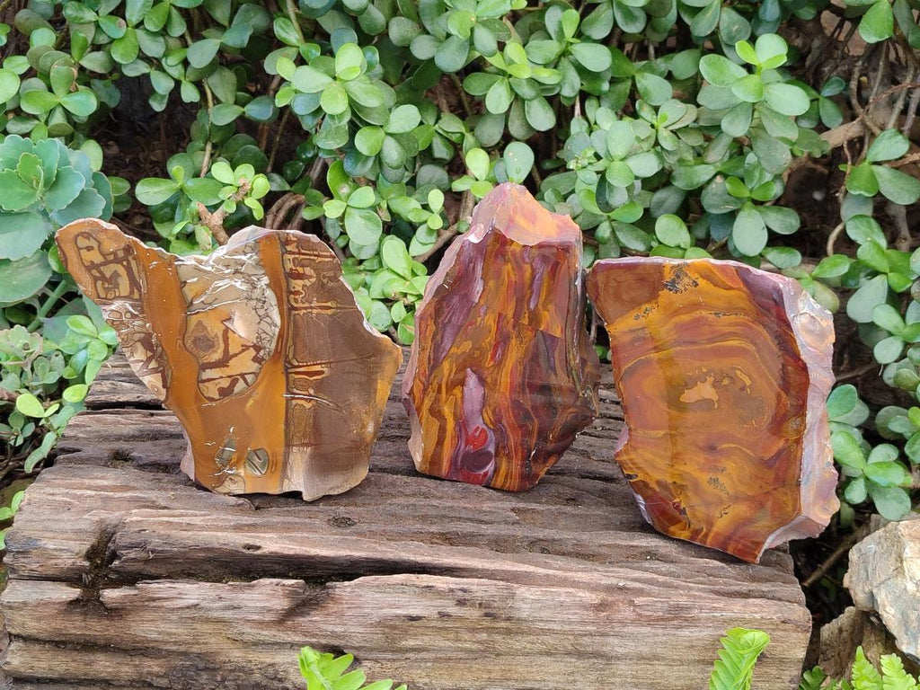 Polished One Side Jupiter Jasper Specimens x 3 From South Africa - Toprock Gemstones and Minerals 