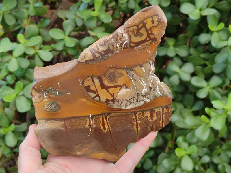 Polished One Side Jupiter Jasper Specimens x 3 From South Africa - Toprock Gemstones and Minerals 