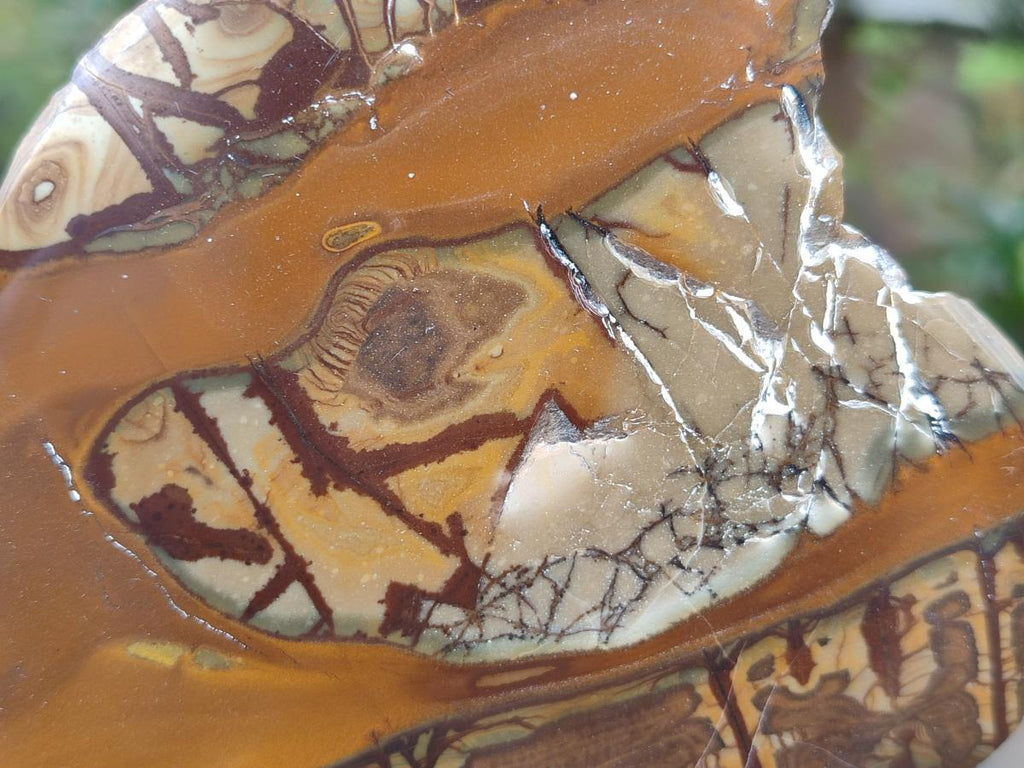 Polished One Side Jupiter Jasper Specimens x 3 From South Africa - Toprock Gemstones and Minerals 