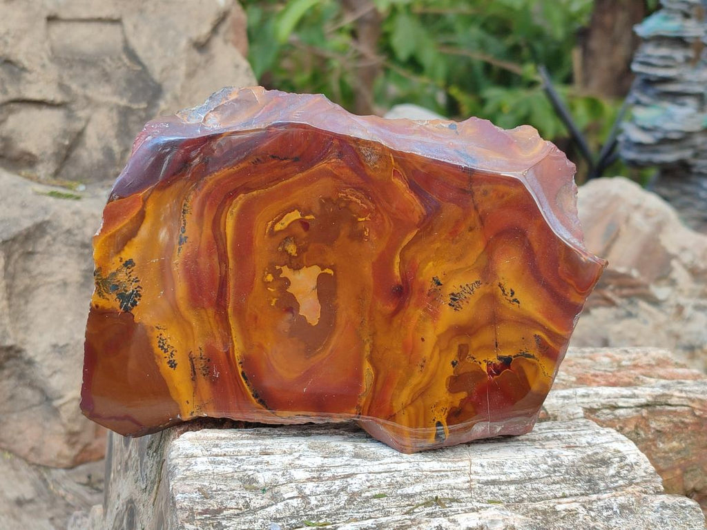 Polished One Side Jupiter Jasper Specimens x 3 From South Africa - Toprock Gemstones and Minerals 