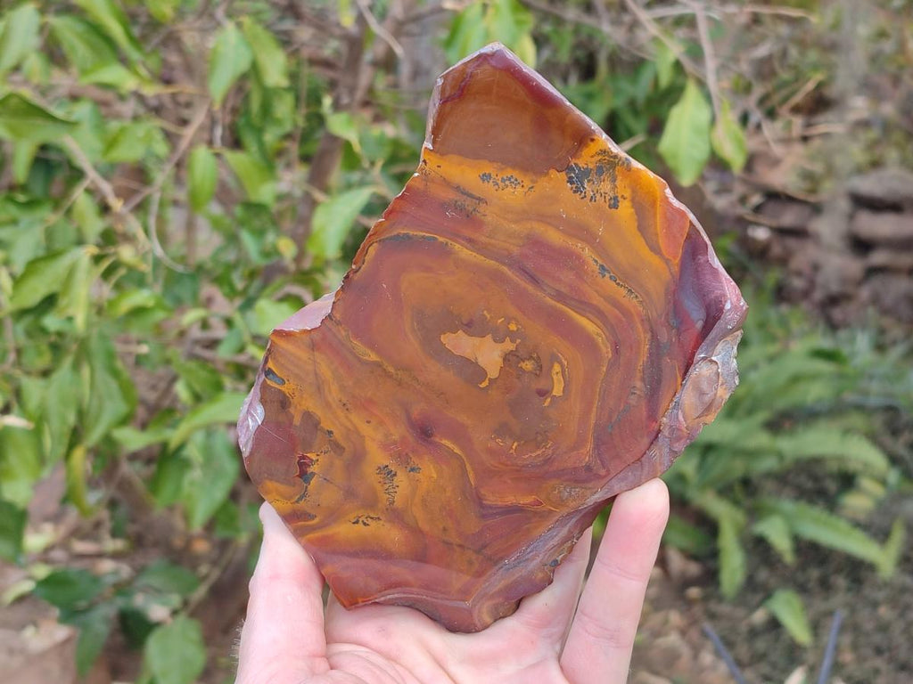 Polished One Side Jupiter Jasper Specimens x 3 From South Africa - Toprock Gemstones and Minerals 