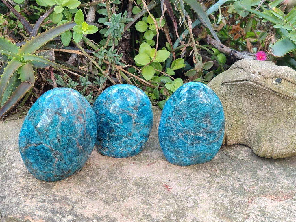 Polished Blue Apatite Standing Display Pieces x 3 From Betroka, Madagascar - Toprock Gemstones and Minerals 