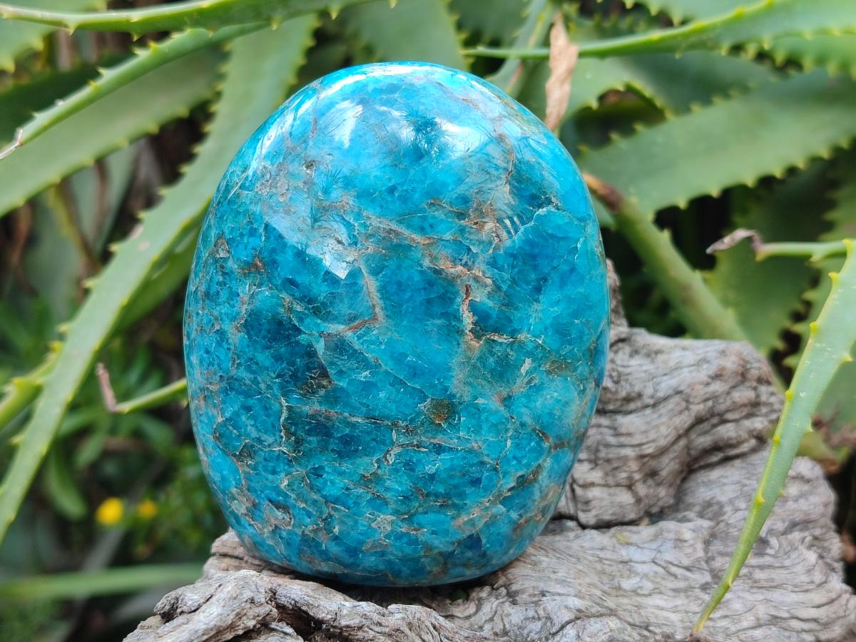 Polished Blue Apatite Standing Display Pieces x 3 From Betroka, Madagascar - Toprock Gemstones and Minerals 
