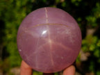 Polished Gemmy Star Rose Quartz Spheres x 3 From Madagascar - Toprock Gemstones and Minerals 
