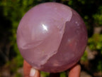 Polished Gemmy Star Rose Quartz Spheres x 3 From Madagascar - Toprock Gemstones and Minerals 